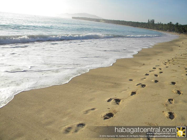 Footprints in the sand...and surf