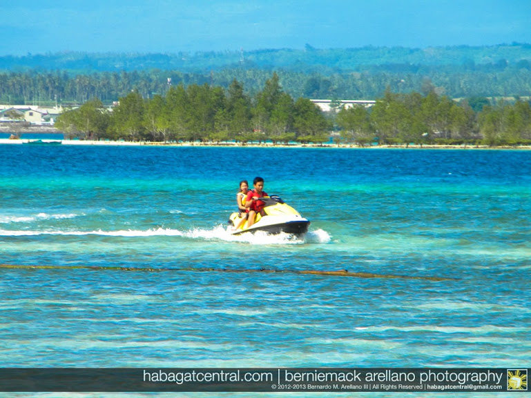 The mangroves of Vanishing Island from afar