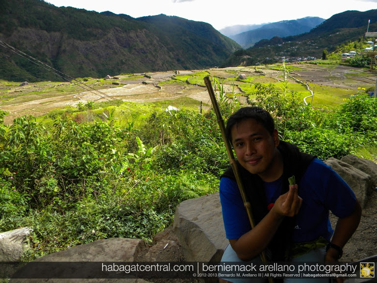 The betel nut and the view