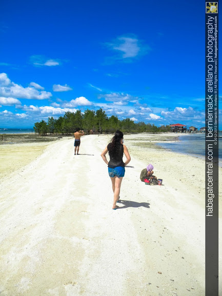 The long sandbar