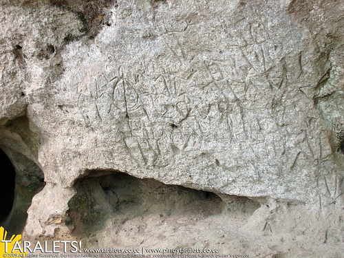 The Turtle and the rest of the petroglyphs