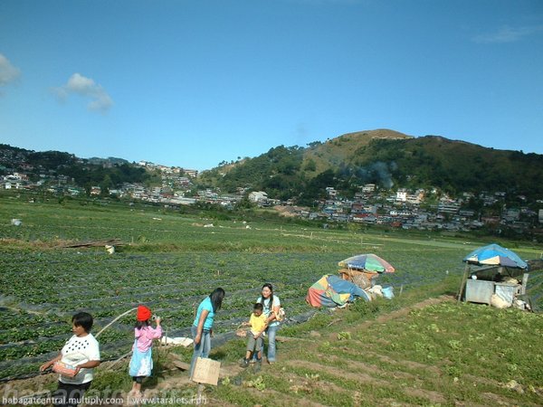 La Trinidad Valley